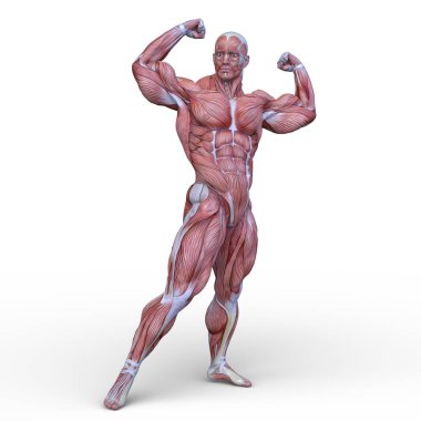 adale adam 3D cg render