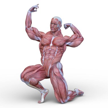 adale adam 3D cg render