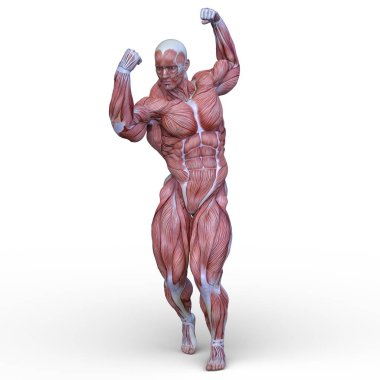 adale adam 3D cg render