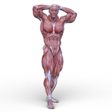 adale adam 3D cg render