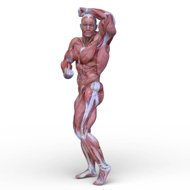 adale adam 3D cg render