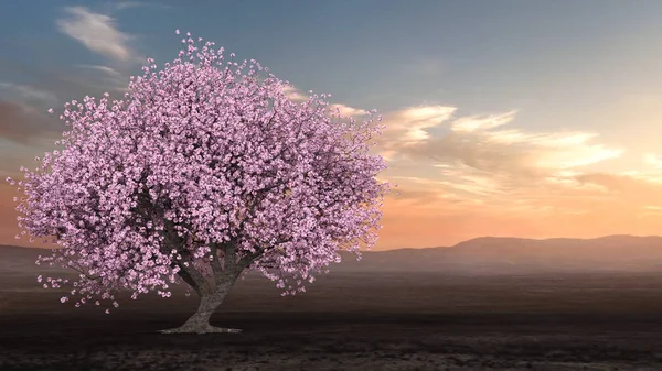 Vykreslování Sakura Scenérie — Stock fotografie