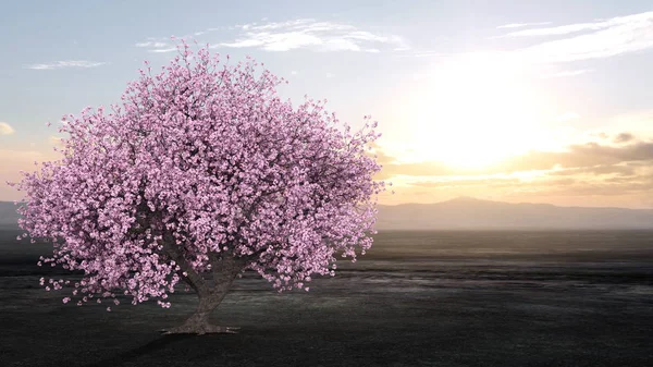 Darstellung Von Sakura Landschaften — Stockfoto