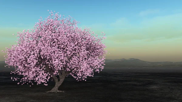 Rendu Sakura Paysage — Photo