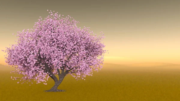 Darstellung Von Sakura Landschaften — Stockfoto