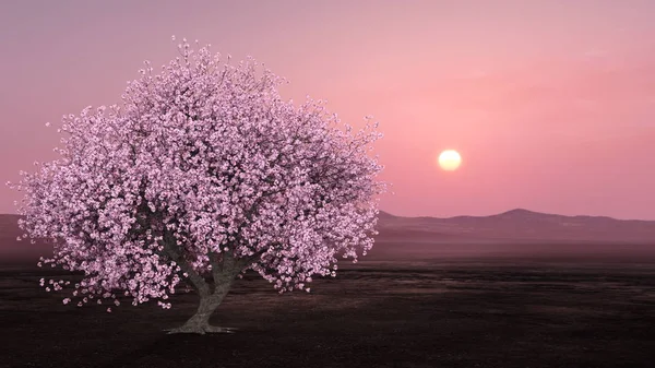 Işleme Sakura Sahne — Stok fotoğraf