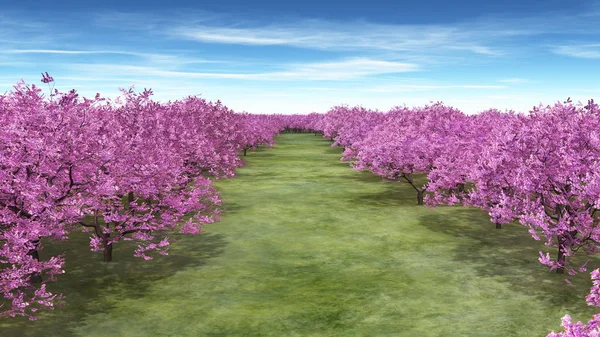 桜風景の のレンダリング — ストック写真