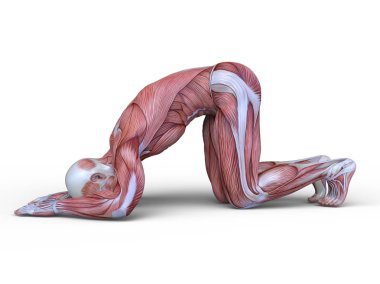 adale adam 3D cg render