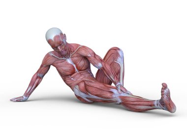 adale adam 3D cg render