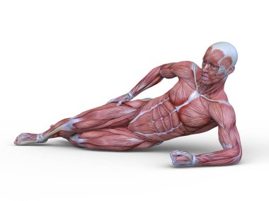 adale adam 3D cg render