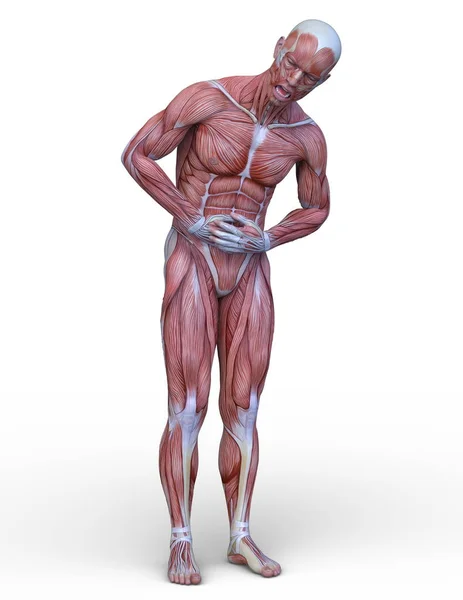 Representación Del Hombre Muscular — Foto de Stock