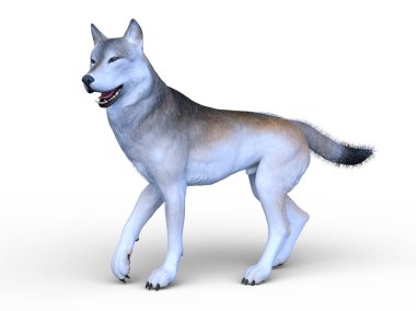 köpek 3D cg render