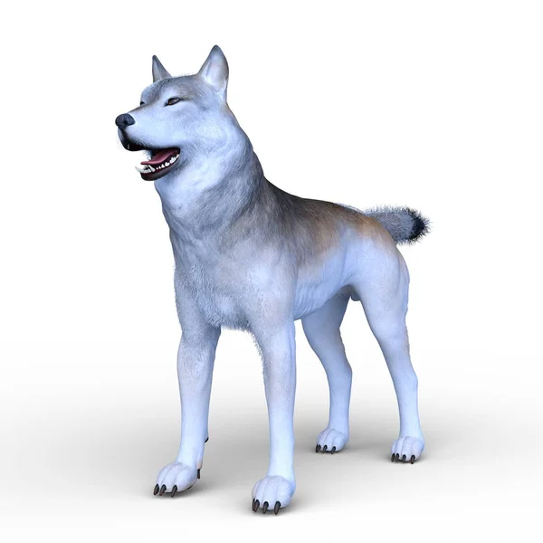 Köpek Render — Stok fotoğraf