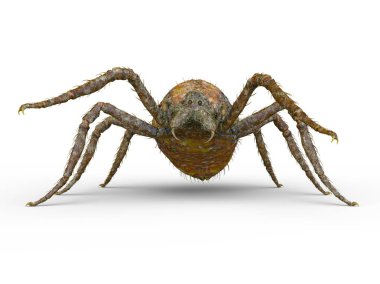 3D cg işleme örümcek