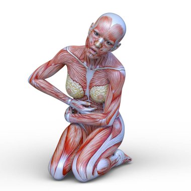 Kas kadının 3D cg işleme