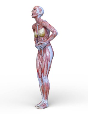 Kas kadının 3D cg işleme