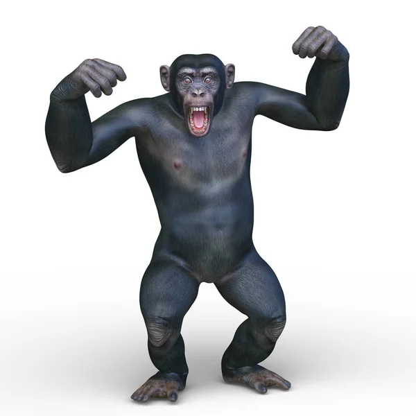 Rendering Monkey — Stock Photo, Image