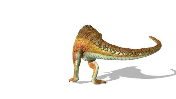 Rendering Van Dinosauriërs — Stockvideo