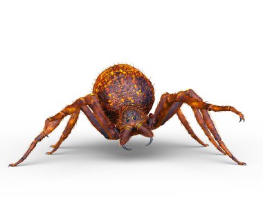 3D cg işleme örümcek