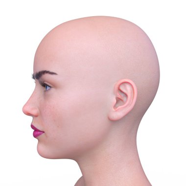 Kadının yüzünün 3d Cg render