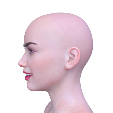 Kadının yüzünün 3d Cg render