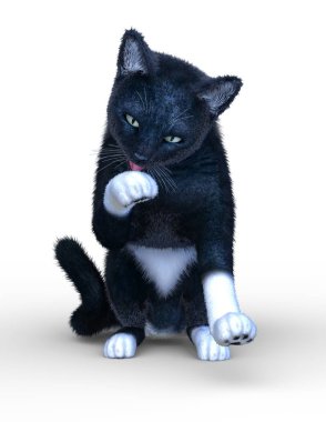 Kedi 3d Cg render