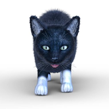 Kedi 3d Cg render