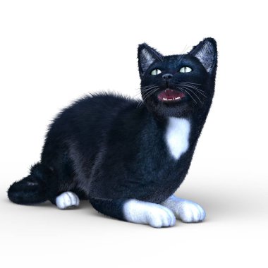 Kedi 3d Cg render