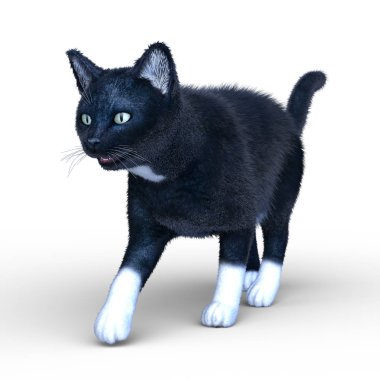 Kedi 3d Cg render
