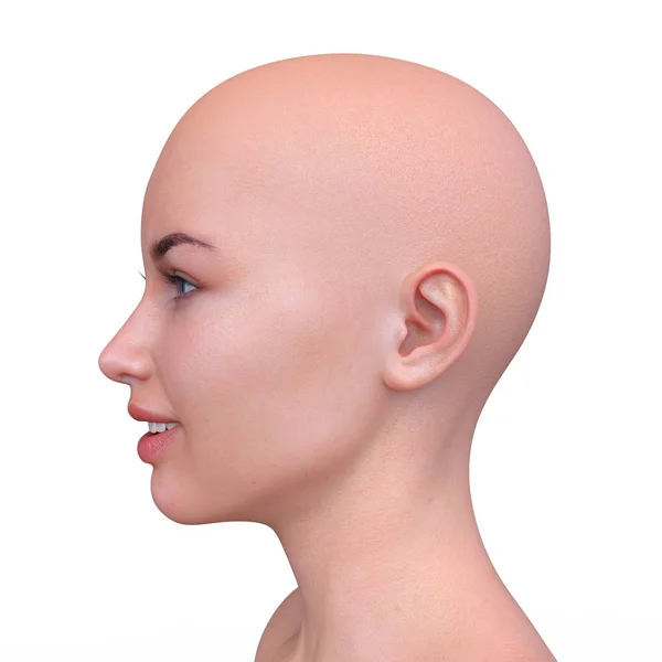 Rendering Woman Face — Stock Photo, Image