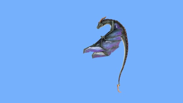 Representación Flying Dragon — Vídeo de stock