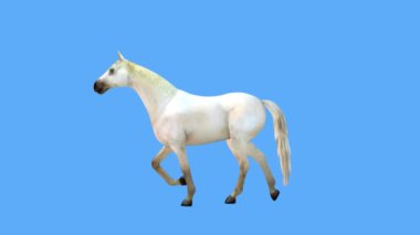 At 3d Cg render