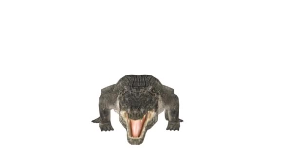 3D rendu CG de Crocodile 