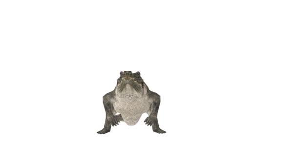 3D rendu CG de Crocodile 