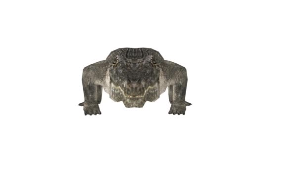 鳄鱼的3Dcg渲染 — 图库视频影像