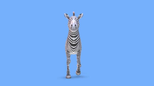 Rendering Della Zebra — Video Stock