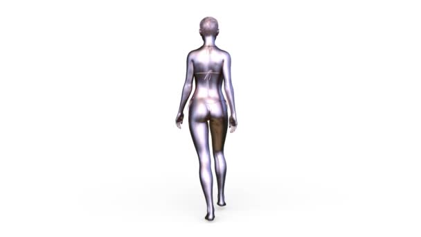 3D 3D rendu de femme d'argent 
