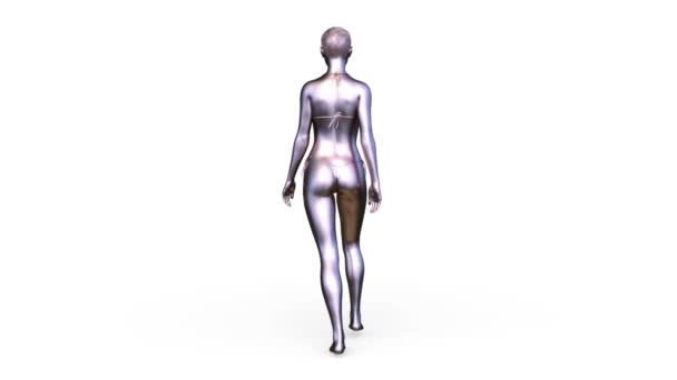 Rendering Silver Woman — Stock Video