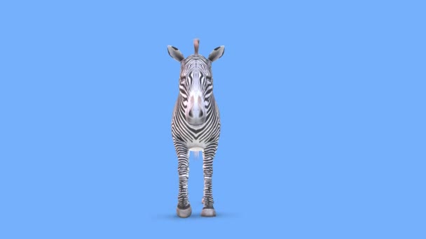 Rendering Della Zebra — Video Stock