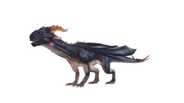 3D rendu 3D de Dragon Volant 