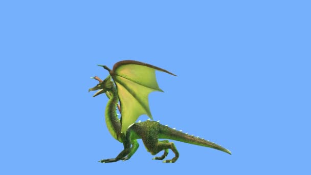 3D rendu 3D de Dragon Volant 
