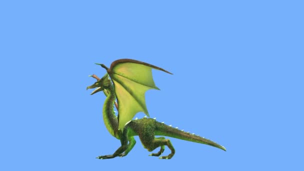 Renderização Flying Dragon — Vídeo de Stock