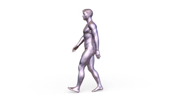 Rendering Silver Woman — Stockvideo