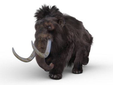 mamut 3D cg işleme