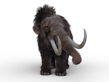 mamut 3D cg işleme