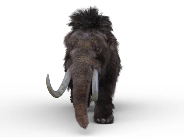 Rendering Mammoth — Stock Photo, Image