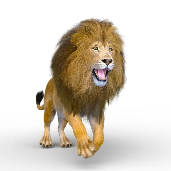 Рендеринг Lion — стоковое фото