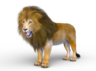 Aslanın 3d CG sunumu