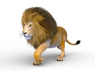 Aslanın 3d CG sunumu