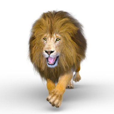 Aslanın 3d CG sunumu